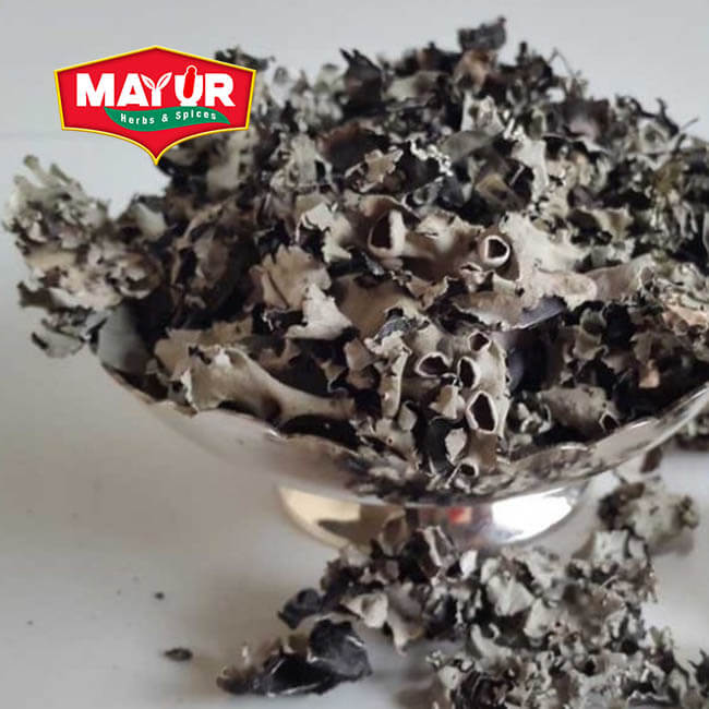 Dagad Phool (Black Stone Flower)